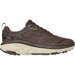 Danner Store 75 HOKA ONE ONE Challenger Low GTX Hiking Shoe Men's